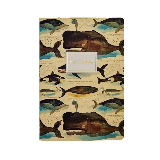 Whales Notebook