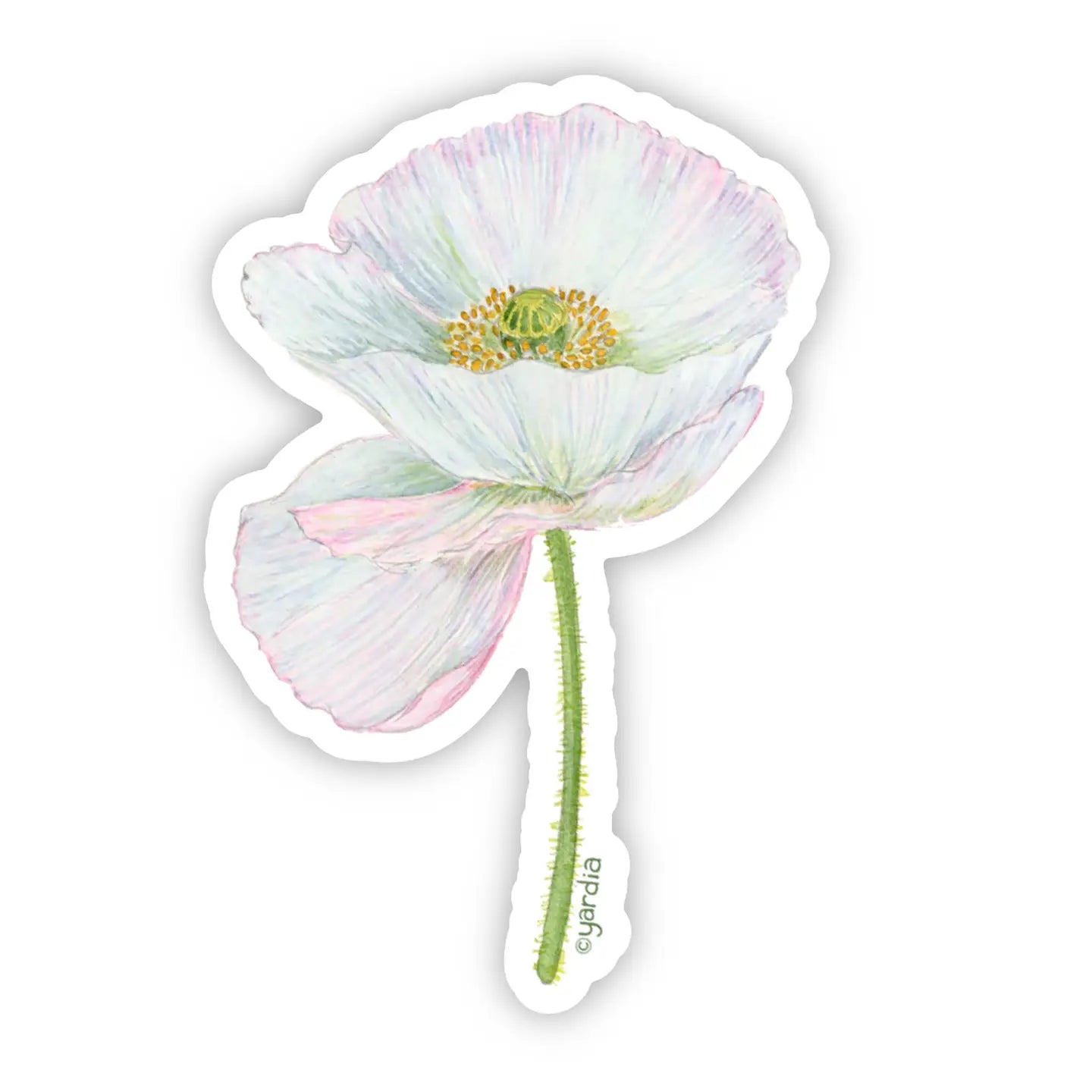 White Poppy Vinyl Sticker