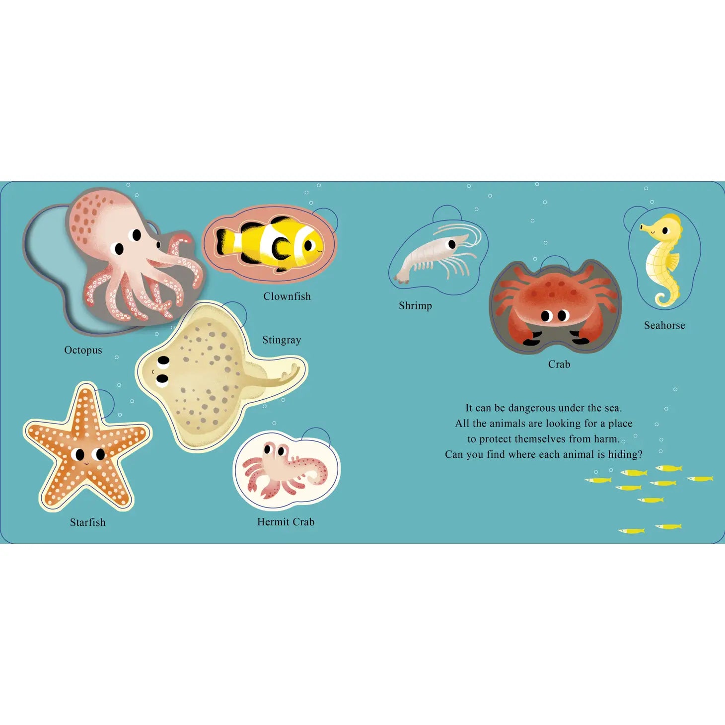 Who Is Hiding in the Sea?