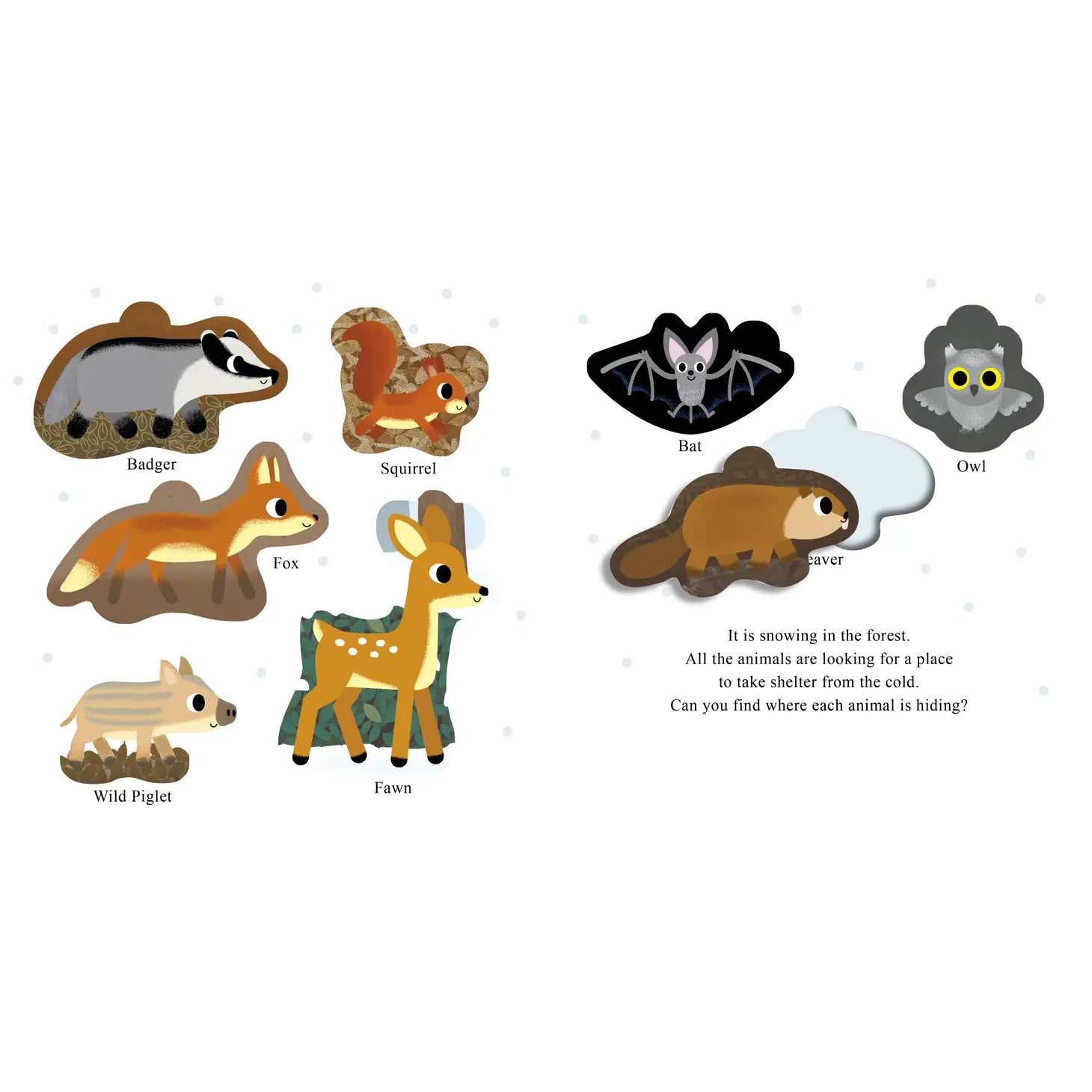 Who Is Hiding in the Forest?