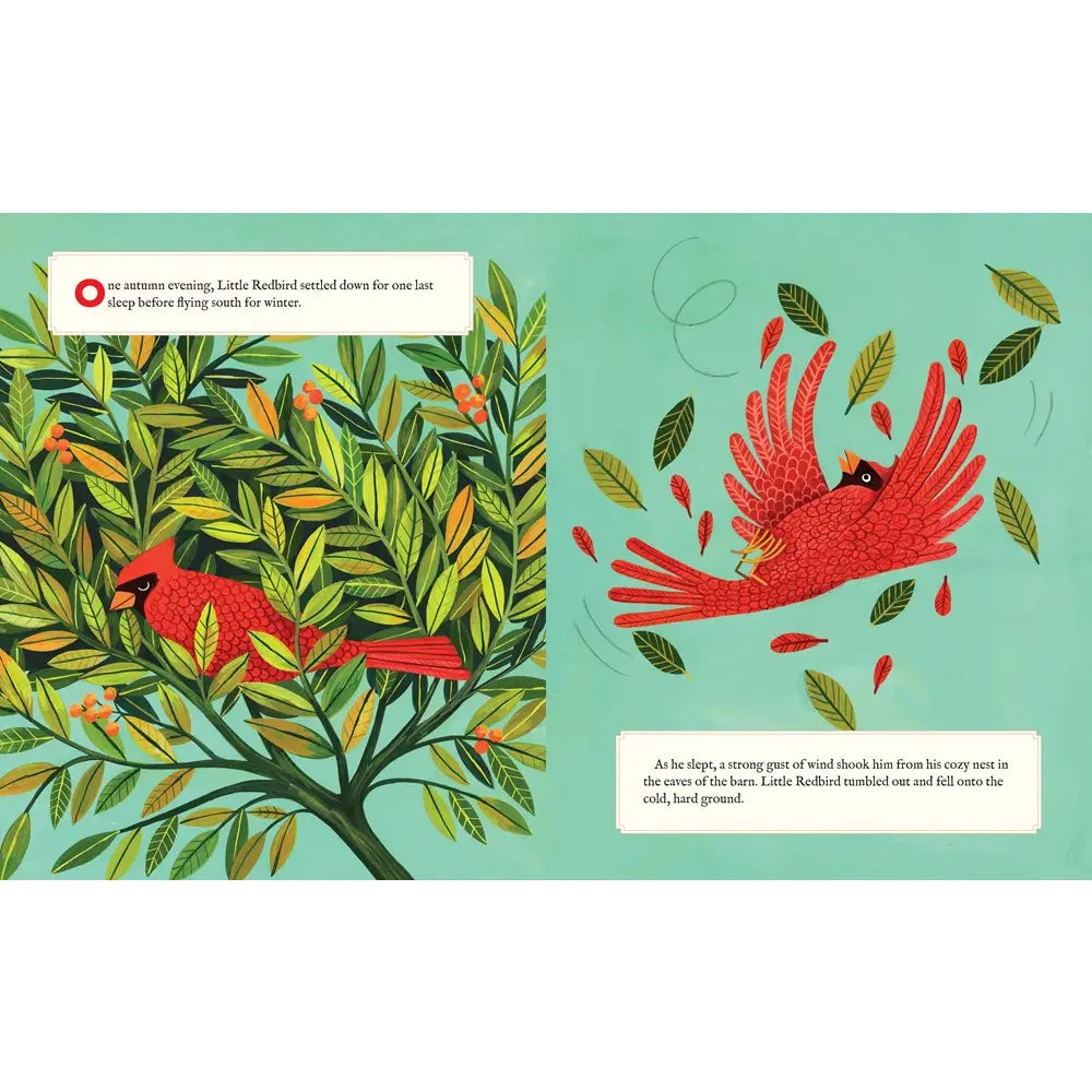 Why Evergreens Keep Their Leaves