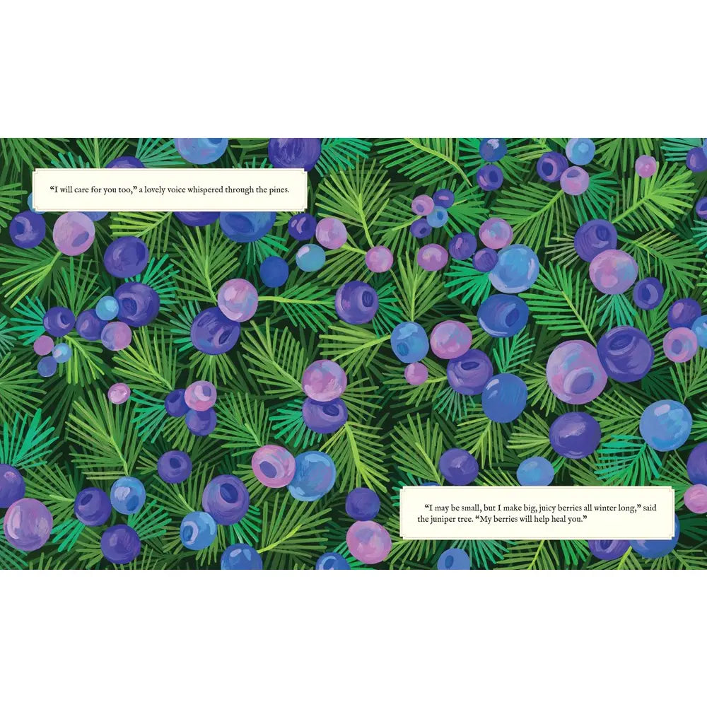 Why Evergreens Keep Their Leaves