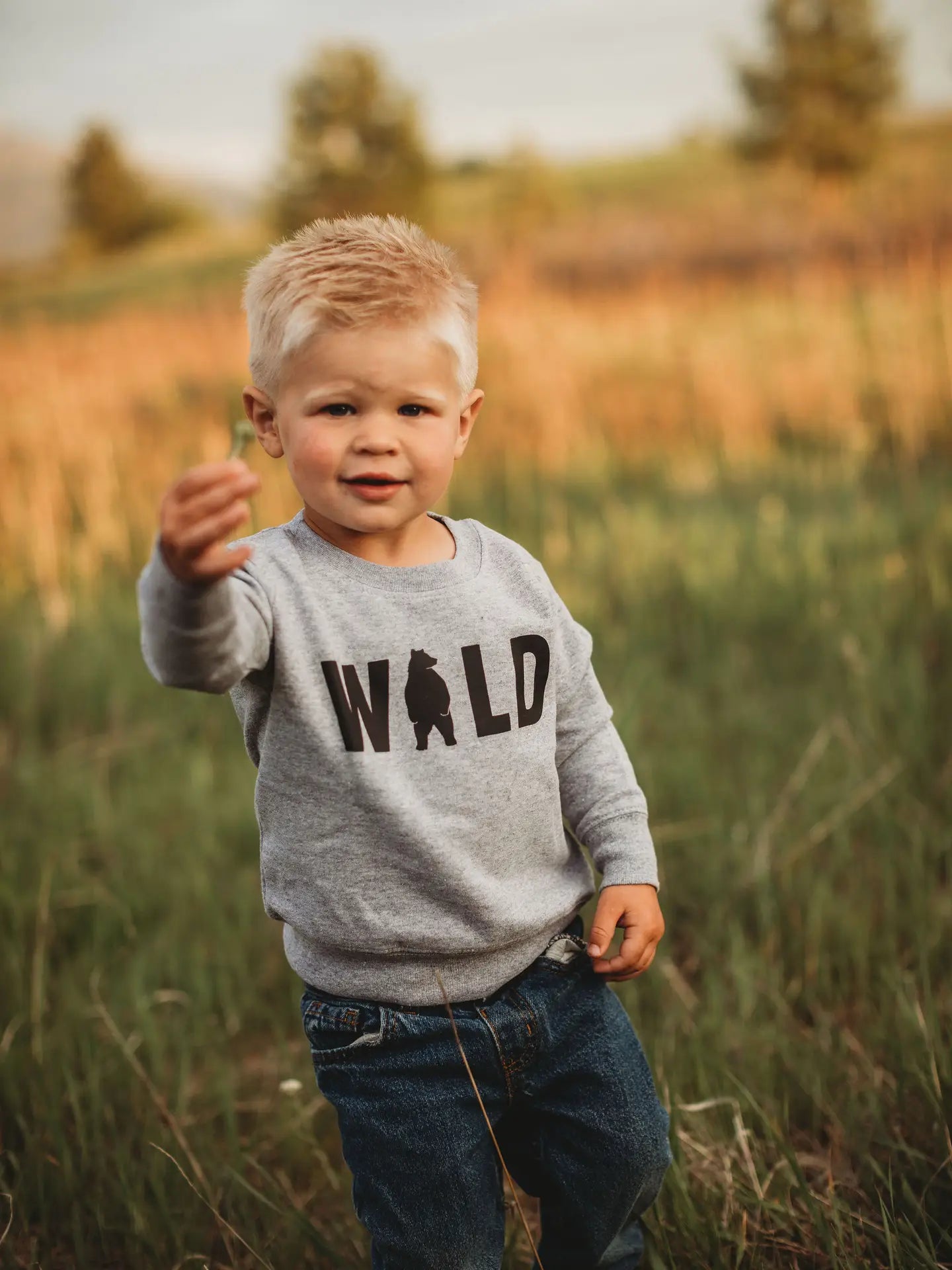 Wild Bear Gray Crew