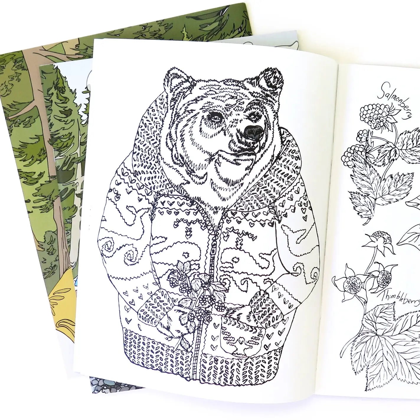 Wild Life Coloring Book