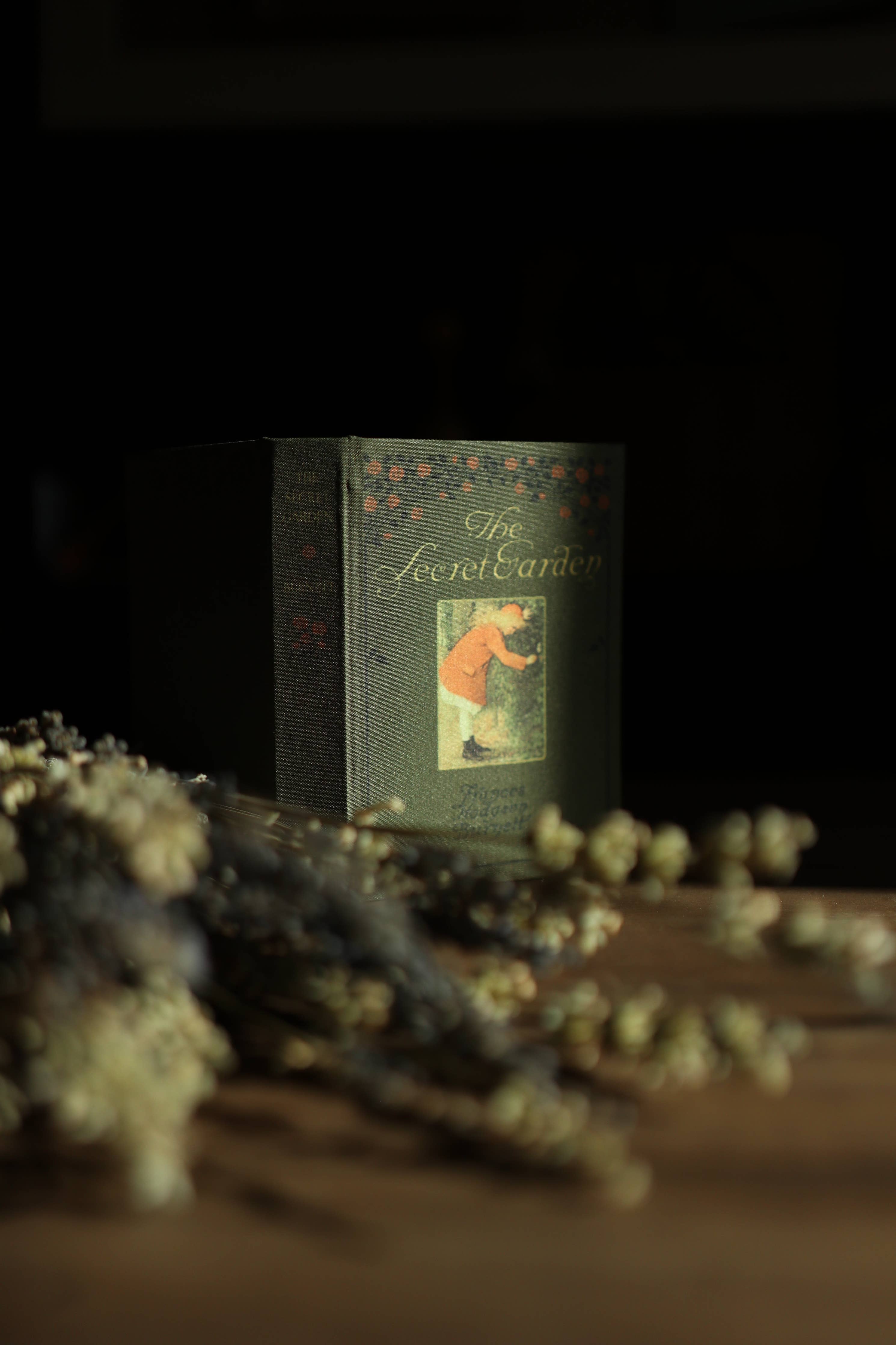 The Secret Garden by Frances Hodgson Burnett 1911 Book Wallet