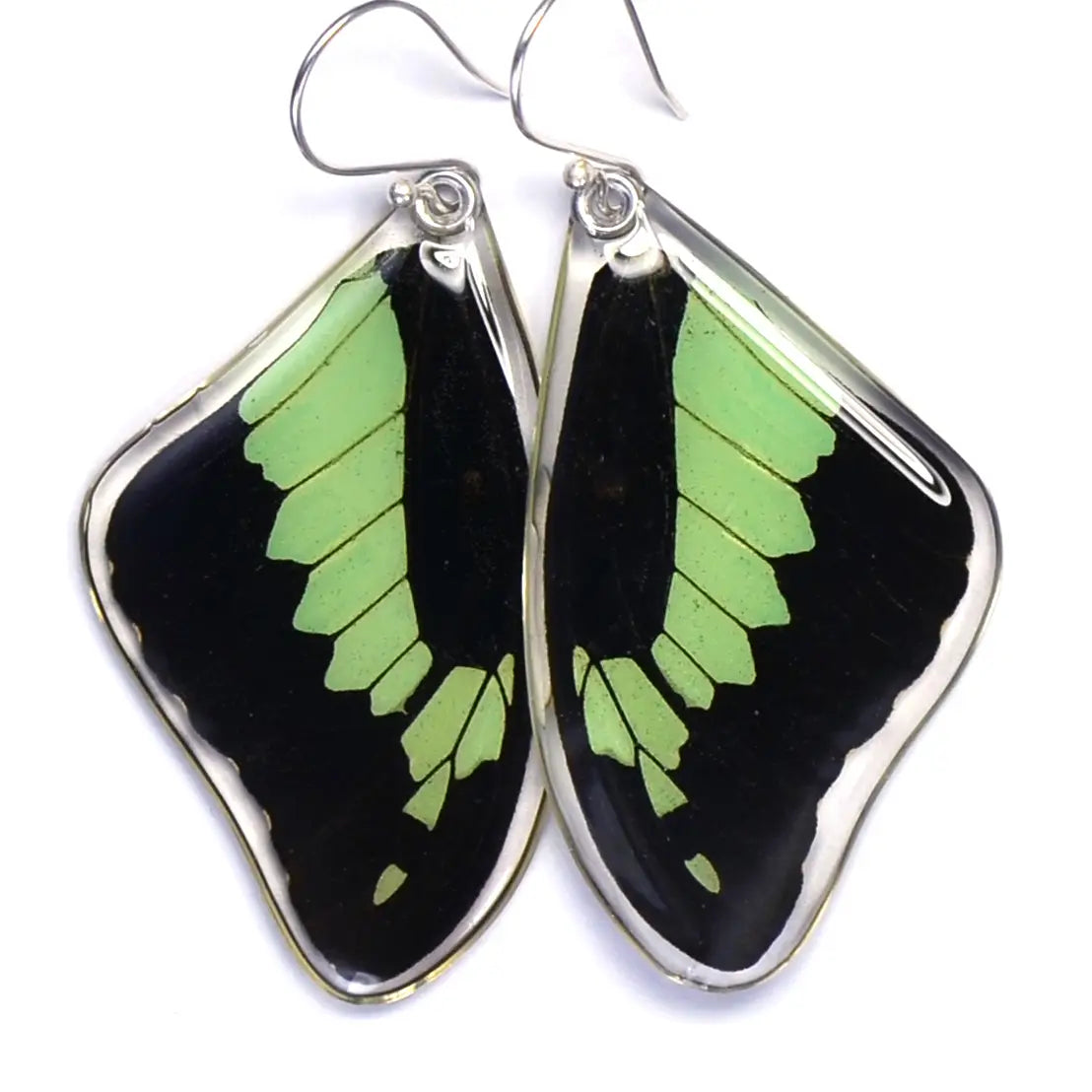 Apple Green Swallowtail Top Wing Butterfly Earrings