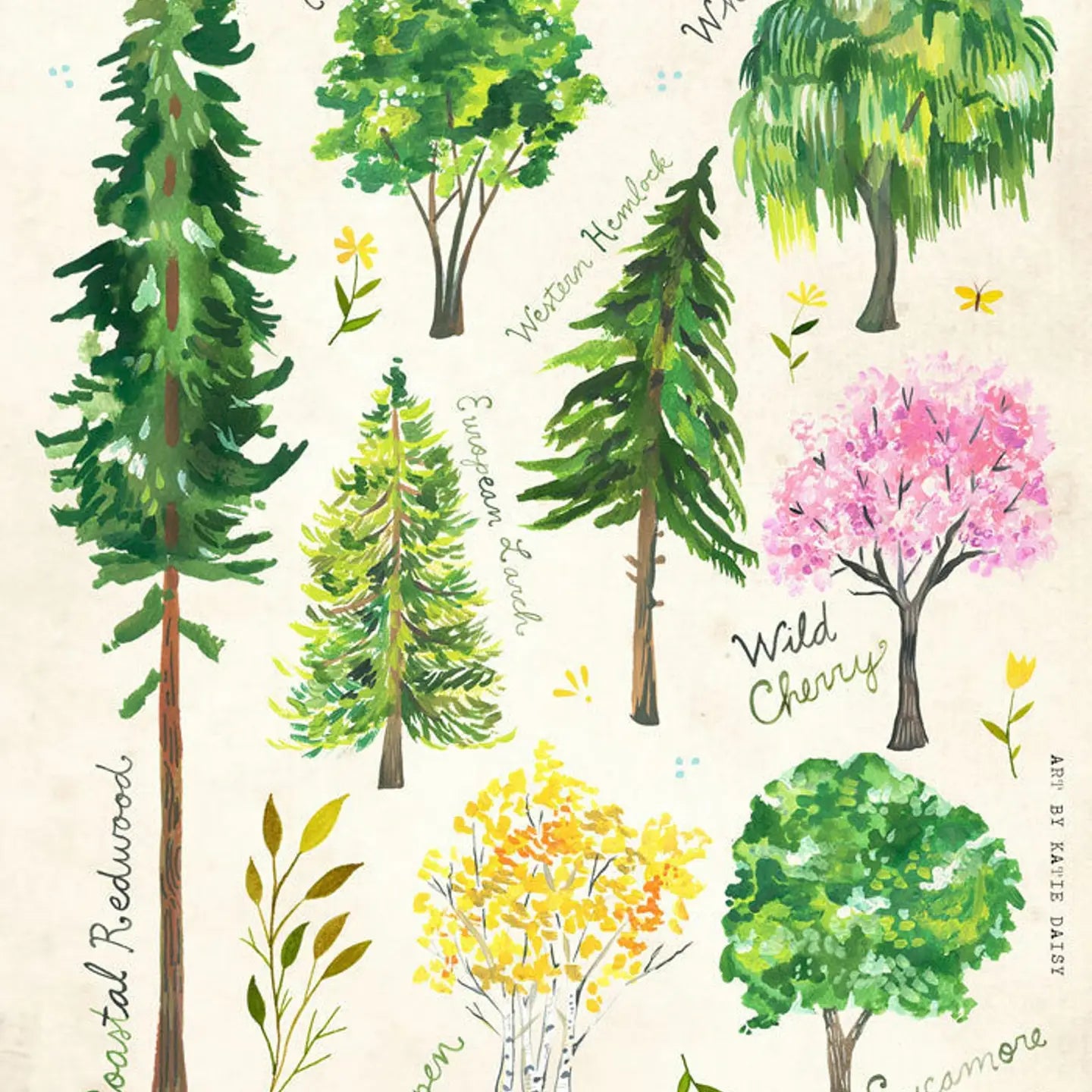 Tree I.D- Print 8 x 10