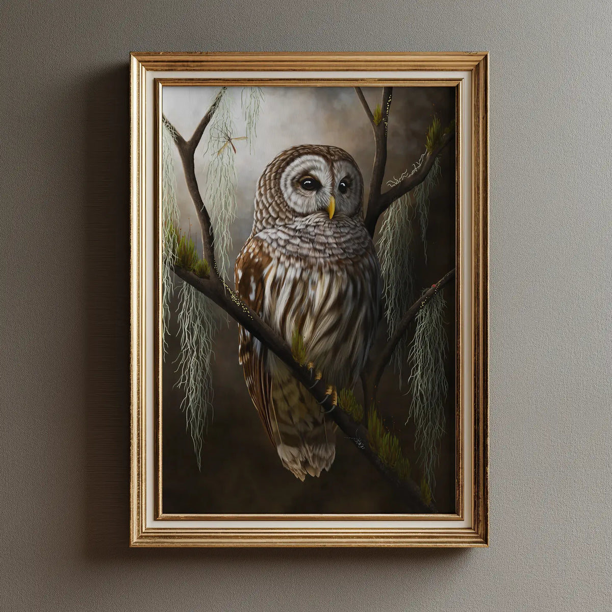 Barred Owl & Moss Lichen Fine Art Print