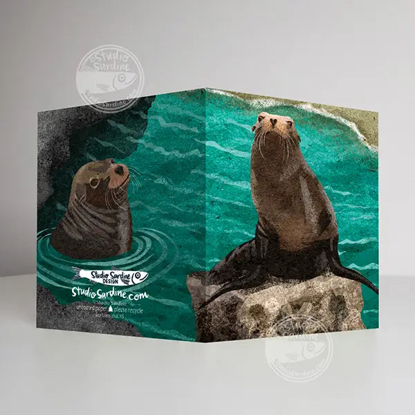 Sea Lions  Notecards, Blank Greeting Cards