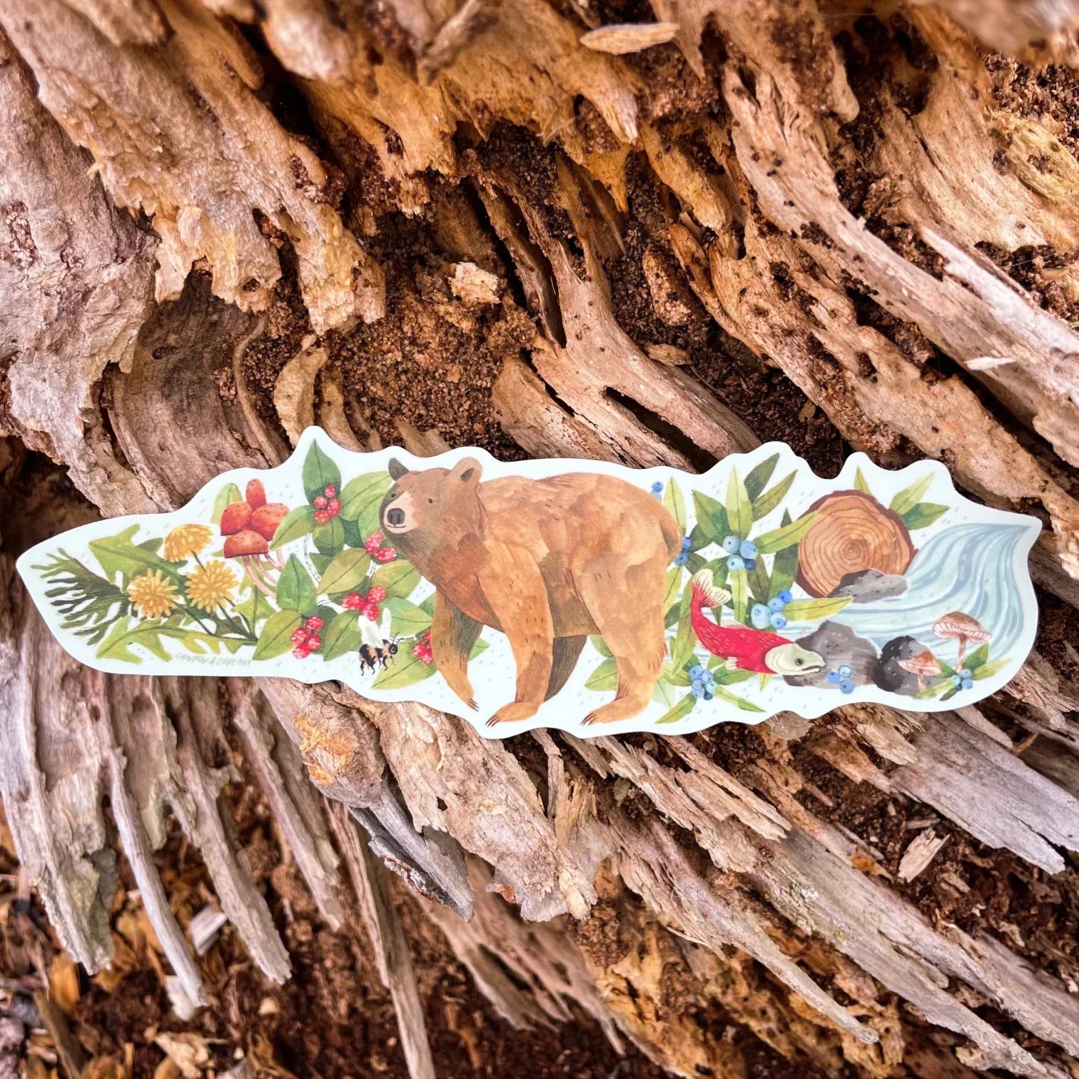 Bear Wrap Sticker