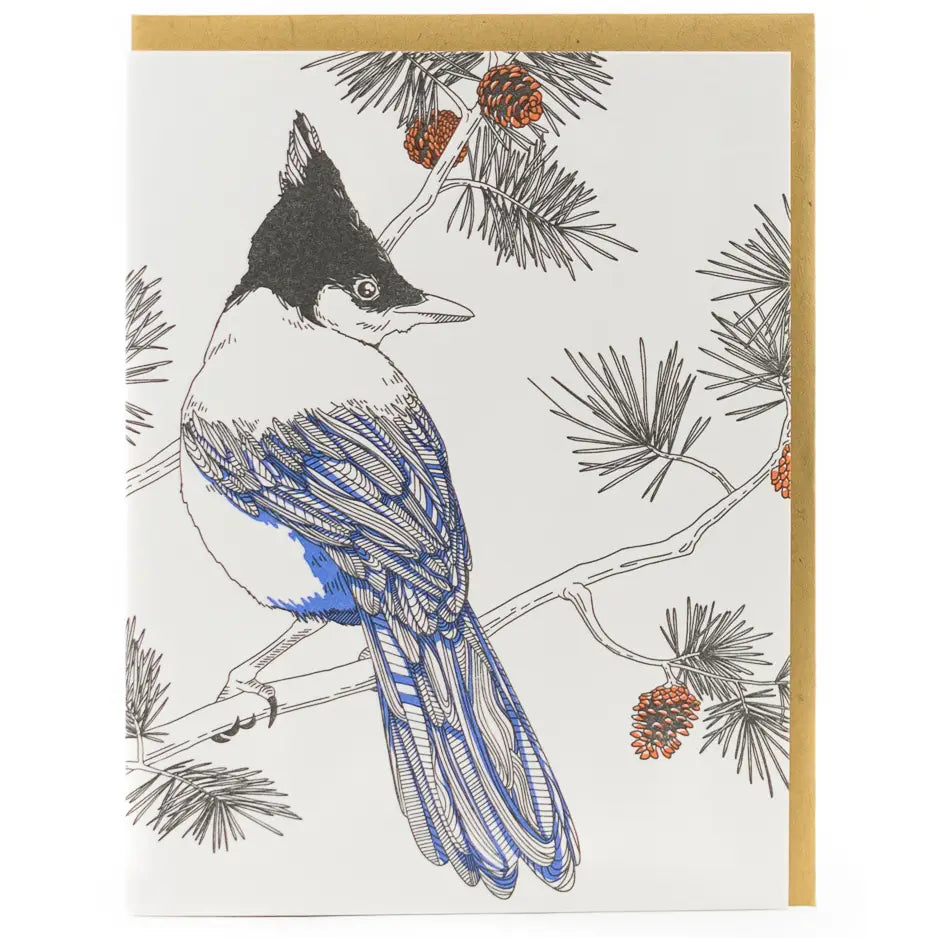 Blue Jay Card