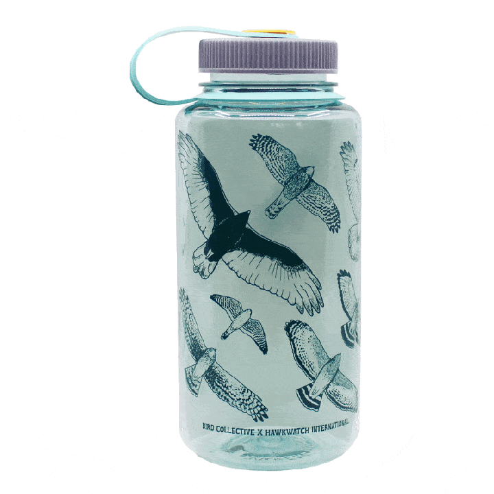 Hawks in Flight Nalgene Water Bottle | Seafoam