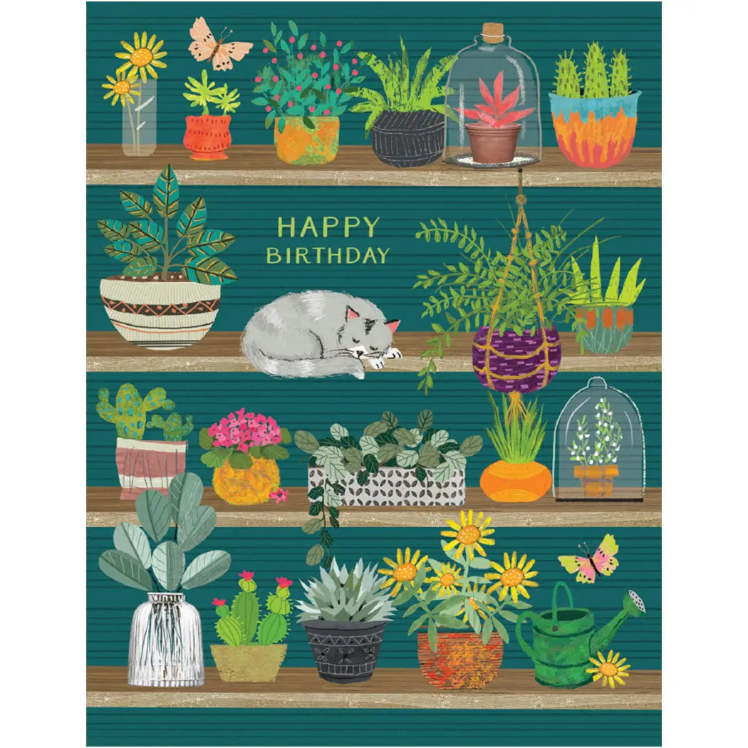 Happy Birthday Cat On Shelf Card