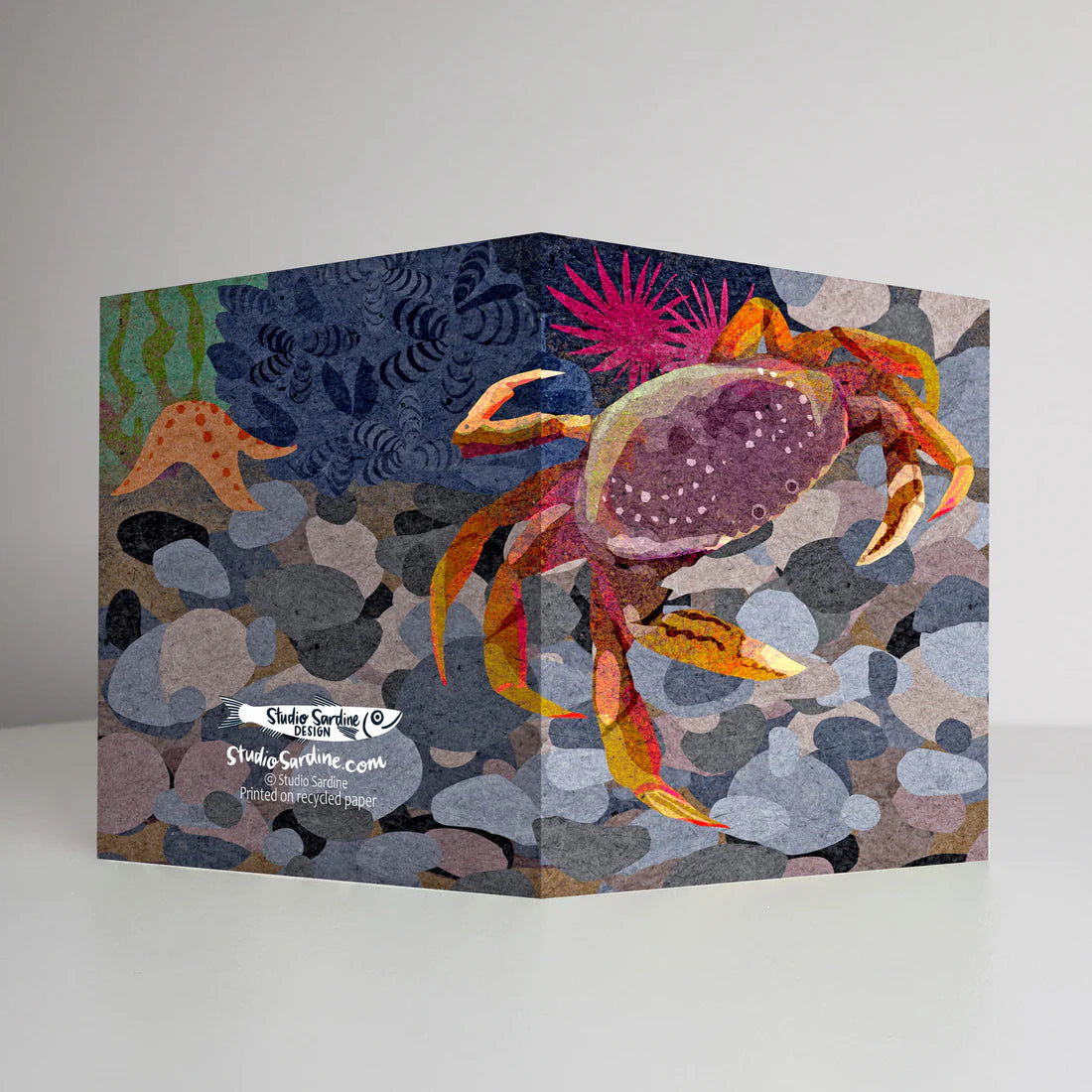 Dungeness Crab Greeting Cards