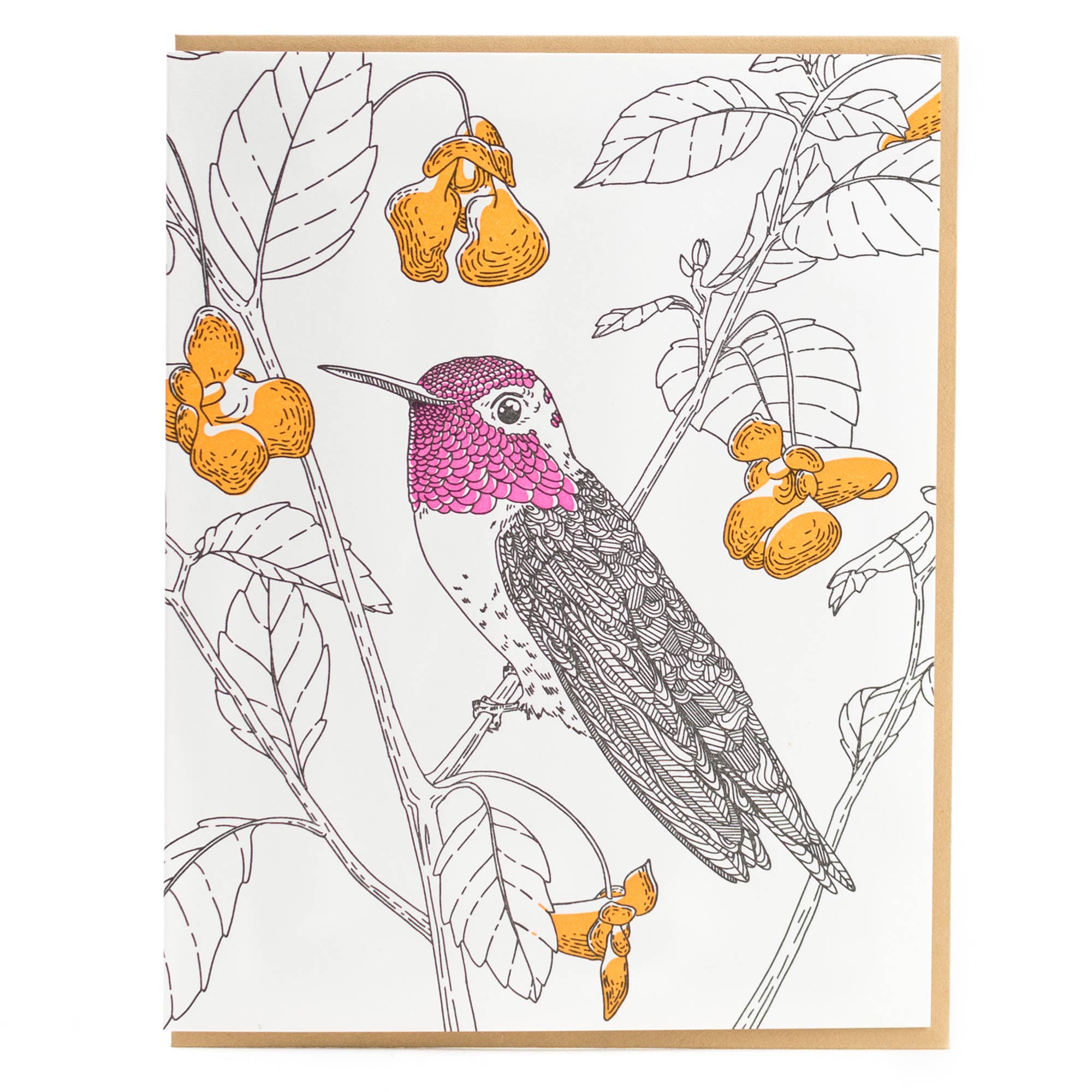 Anna's Hummingbird Card - West Coast Birds: Single Card