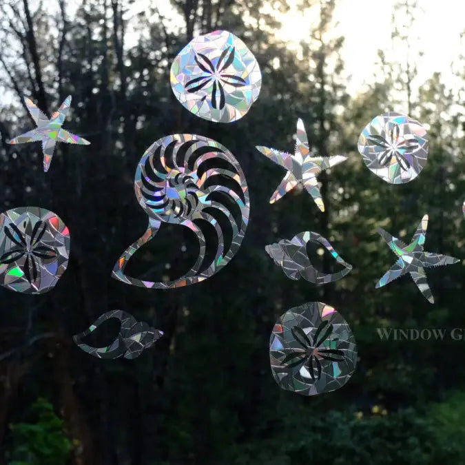 Seashells Window Gems