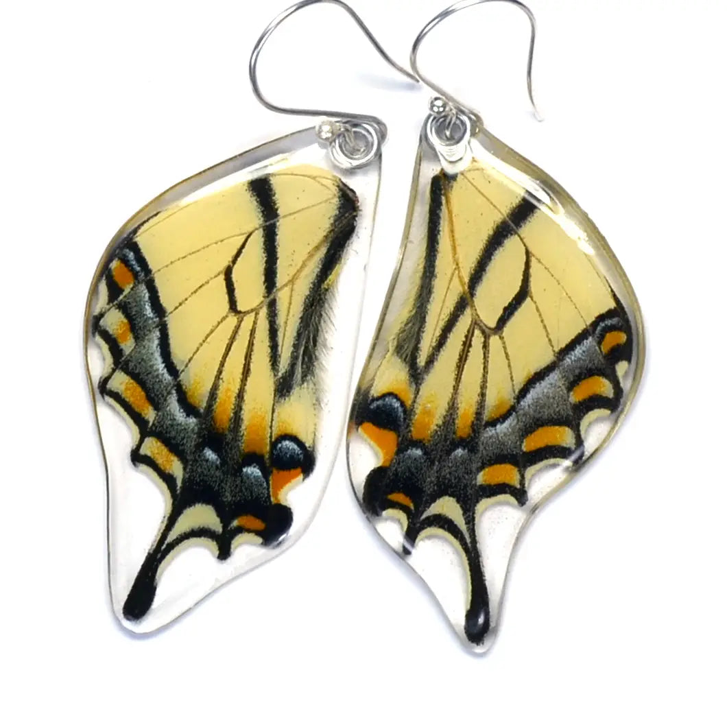 Eastern Tiger Swallowtail Bottom Wings Butterfly Earrings