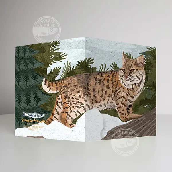 Bobcat Notecards, Blank Greeting Card