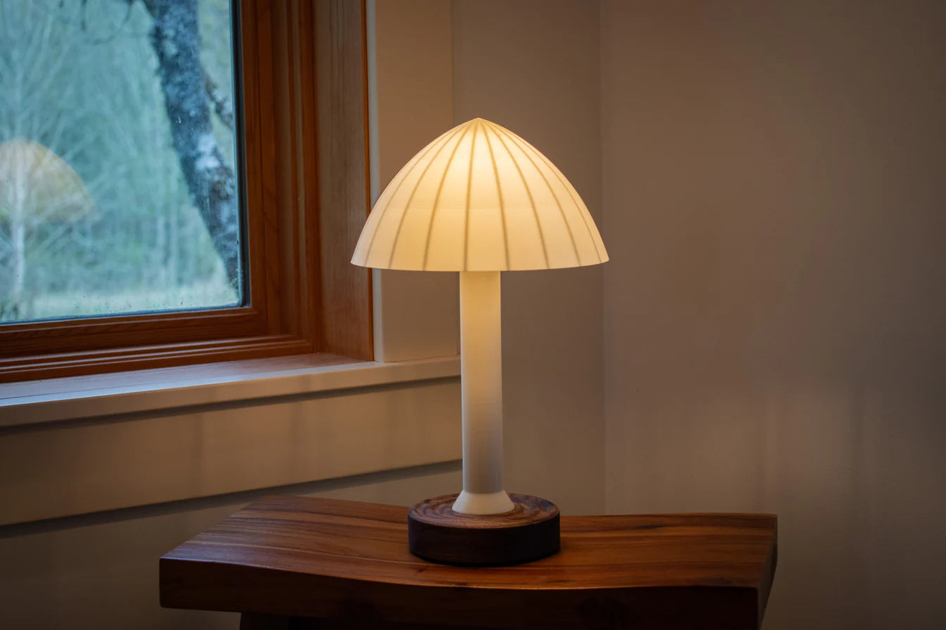Light of the Woods - Rissoto