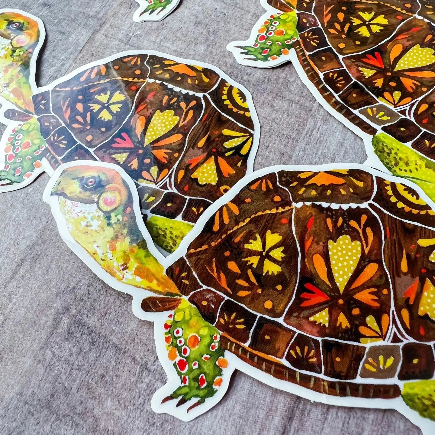 Box Turtle Clear Sticker