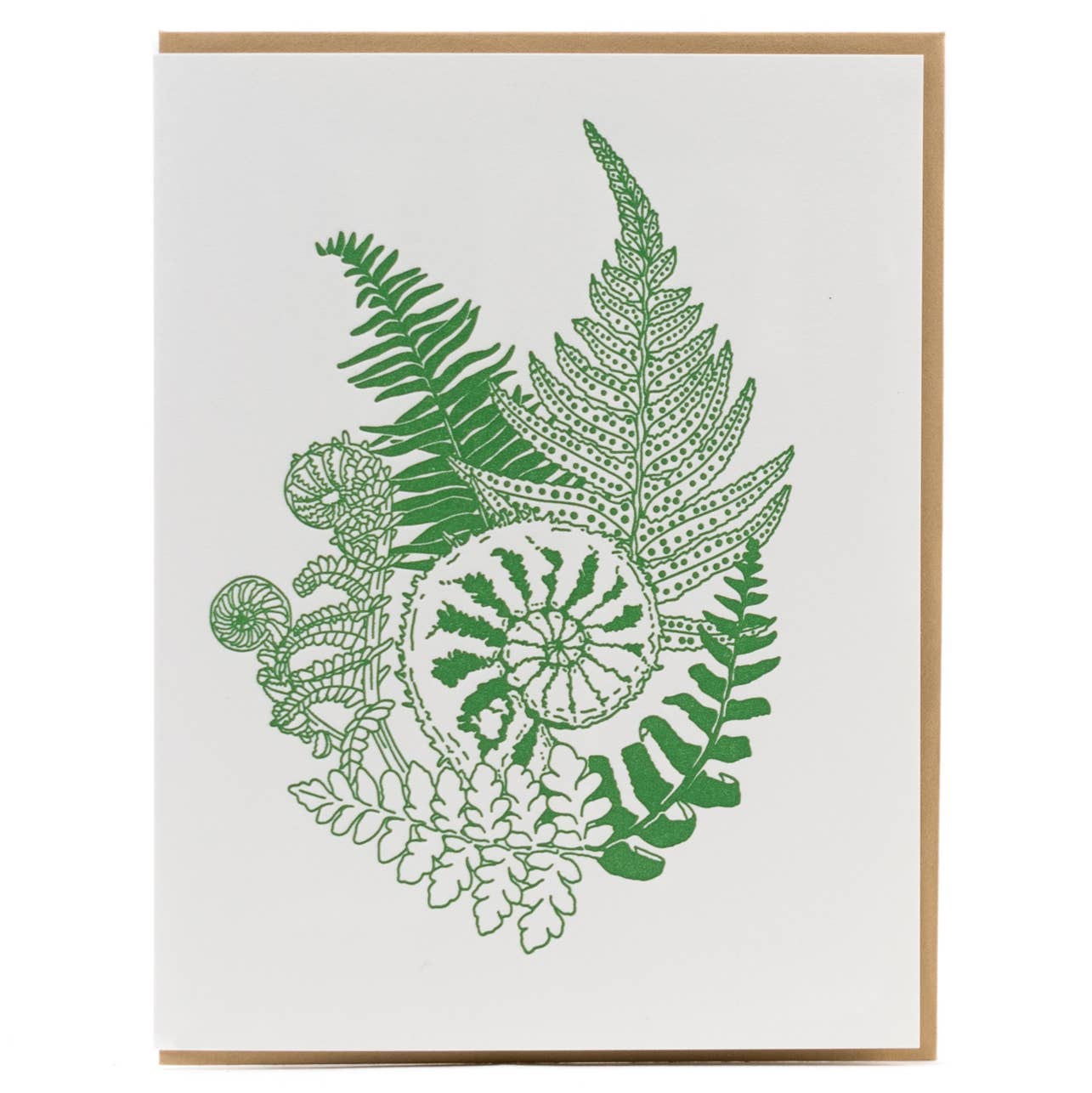 Forest Foraging Series - Fern No message: SIngle Card