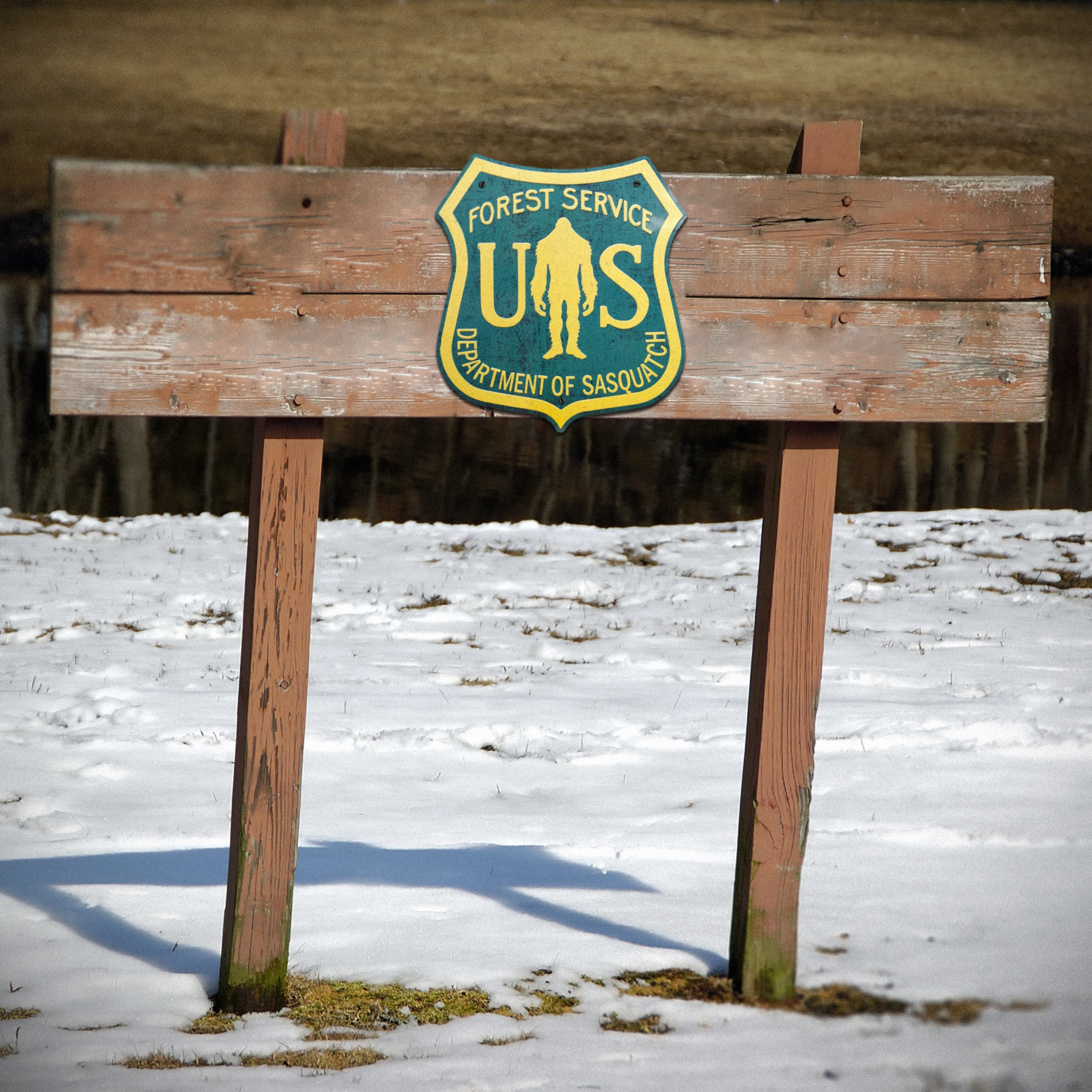 USFS Dept. of Sasquatch Road Sign - Forest Service