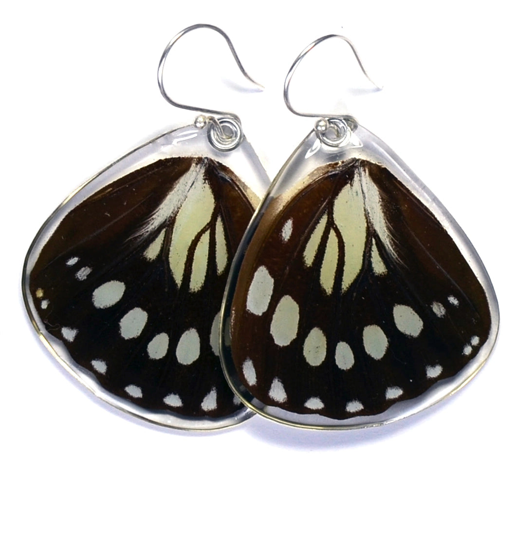 Forest Queen Euxanthe Eurinome Butterfly Earrings