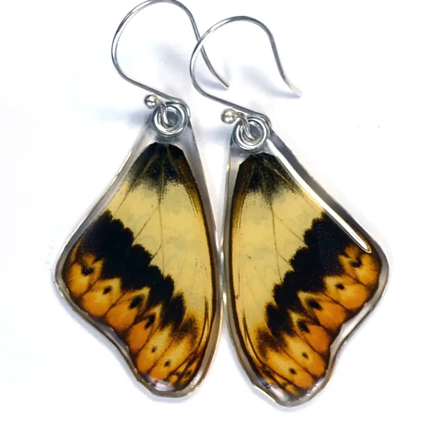 Herminia Glider Top Wings Butterfly Earrings