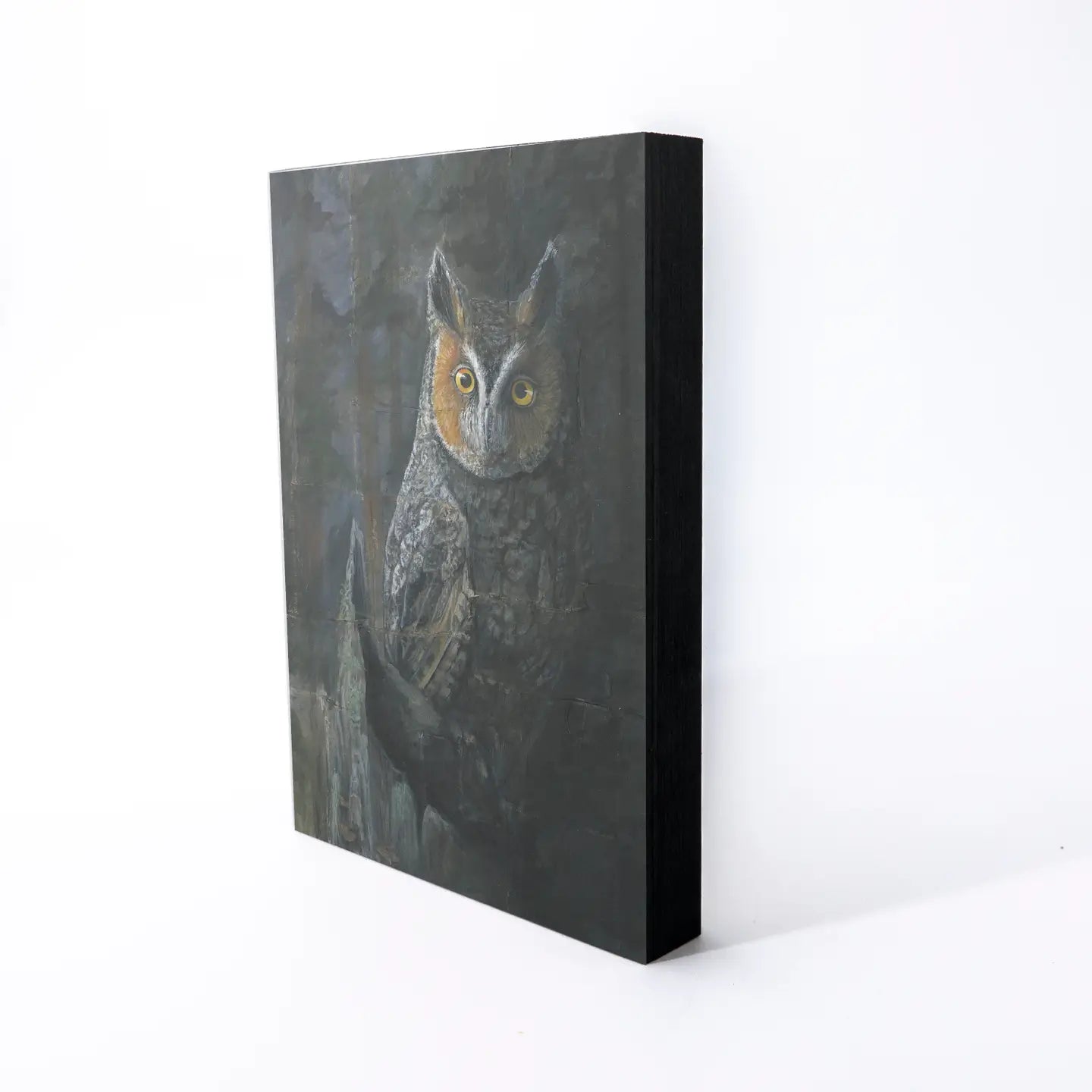 Long Eared Owl Wood Panel Giclée Print