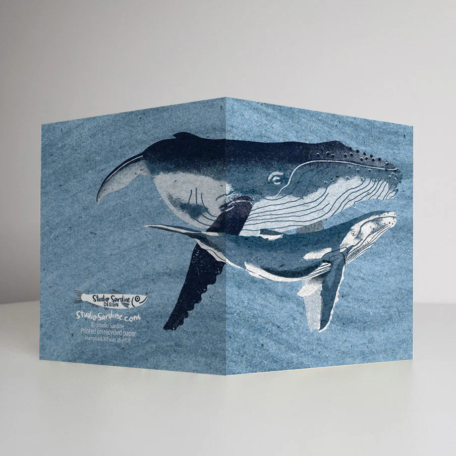 Humpback Whales Card | Studio Sardine