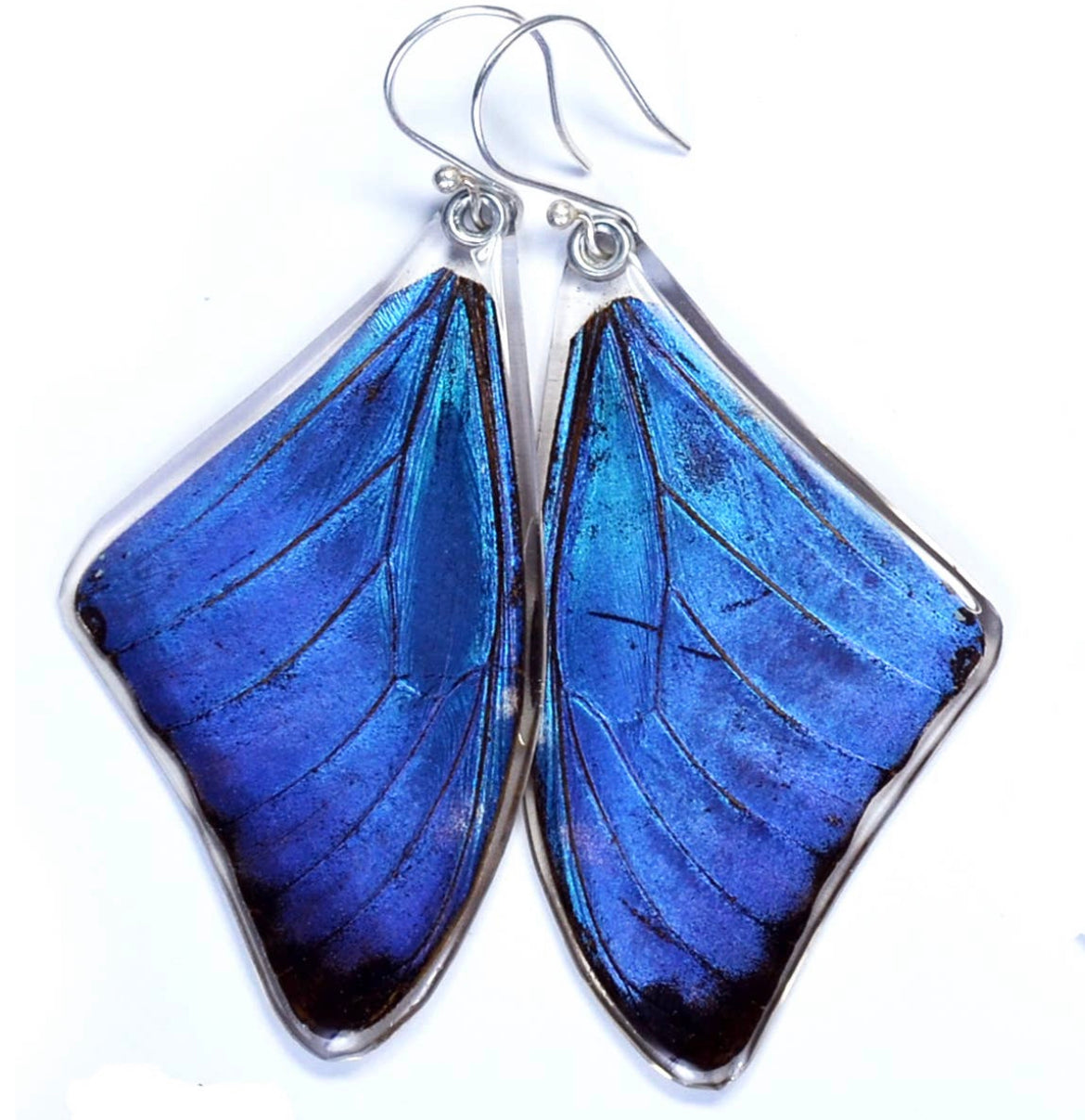 Blue Morpho Adonis Butterfly Earrings