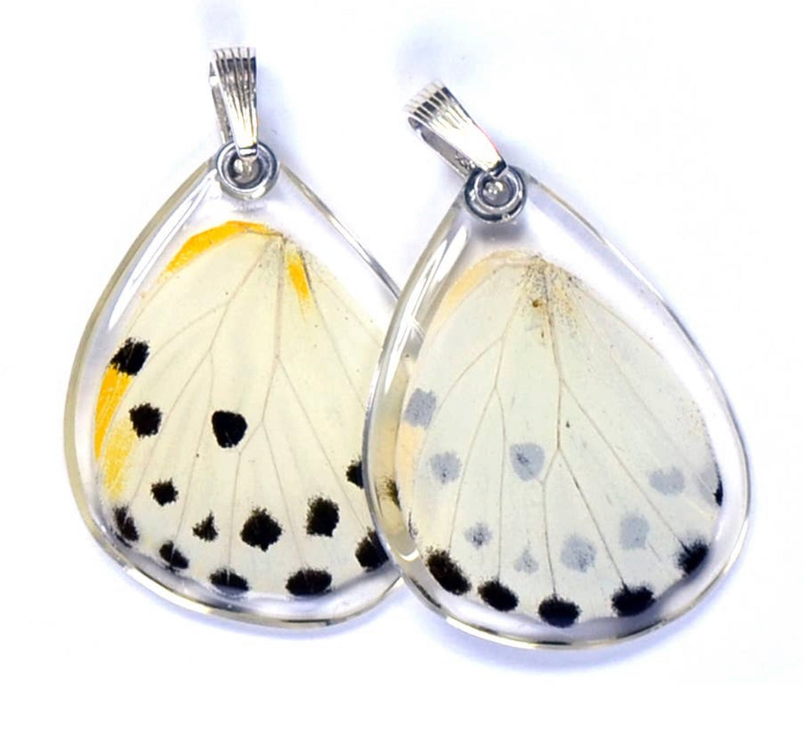 Belenois Calypso Paper White Butterfly Earrings