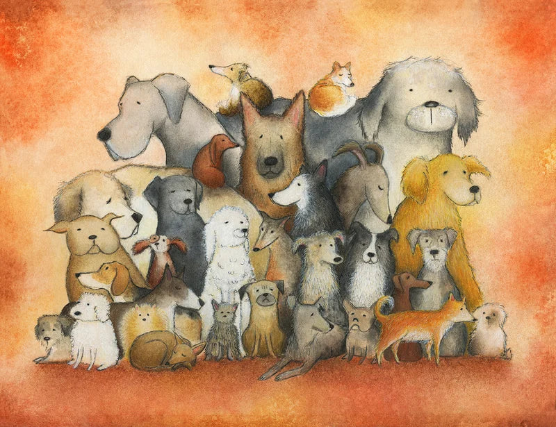 In a Timeless Universe