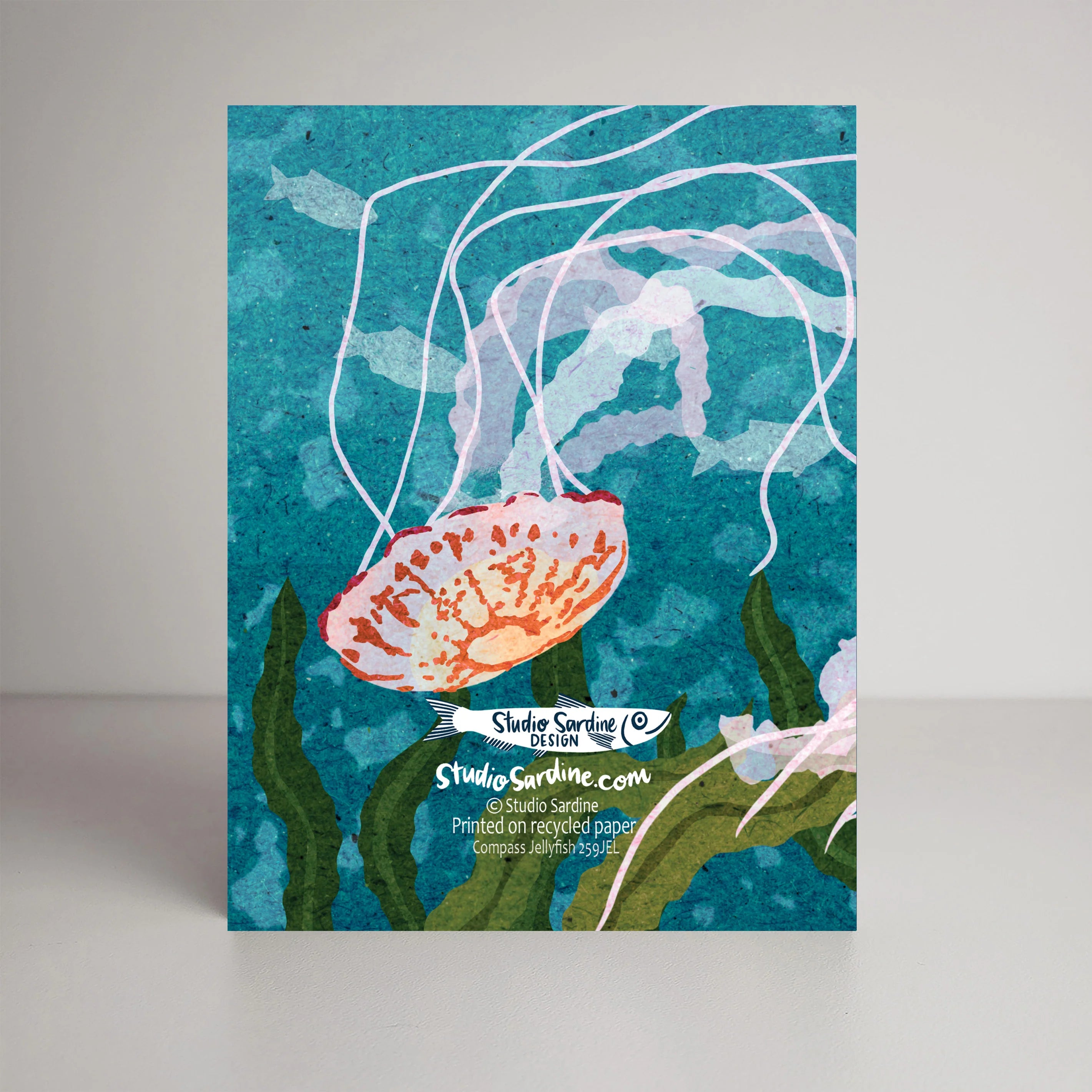 Compass Jellyfish Card | Studio Sardine