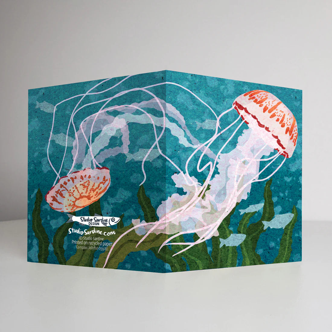 Compass Jellyfish Card | Studio Sardine