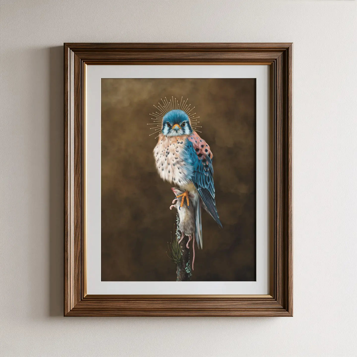 American Kestrel Bird Fine Art Print