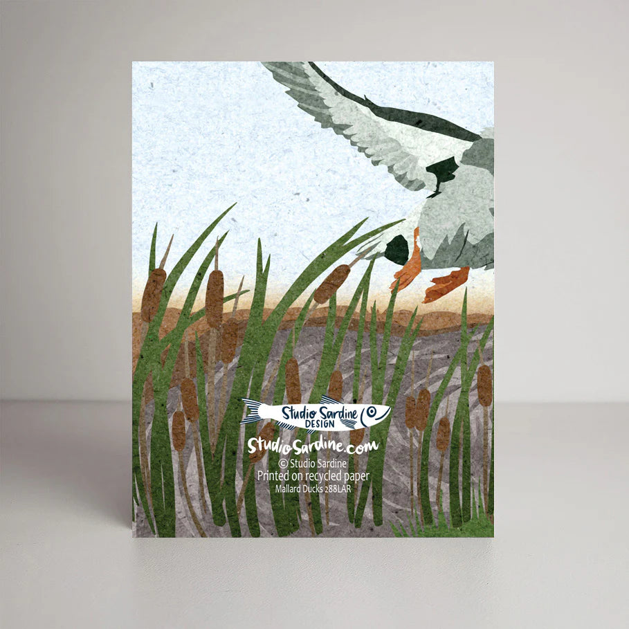 Mallard Ducks Card | Studio Sardine