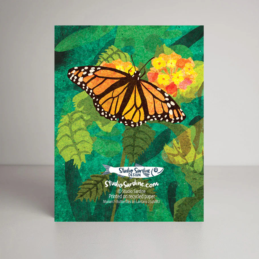 Monarch Butterfly Greeting Cards