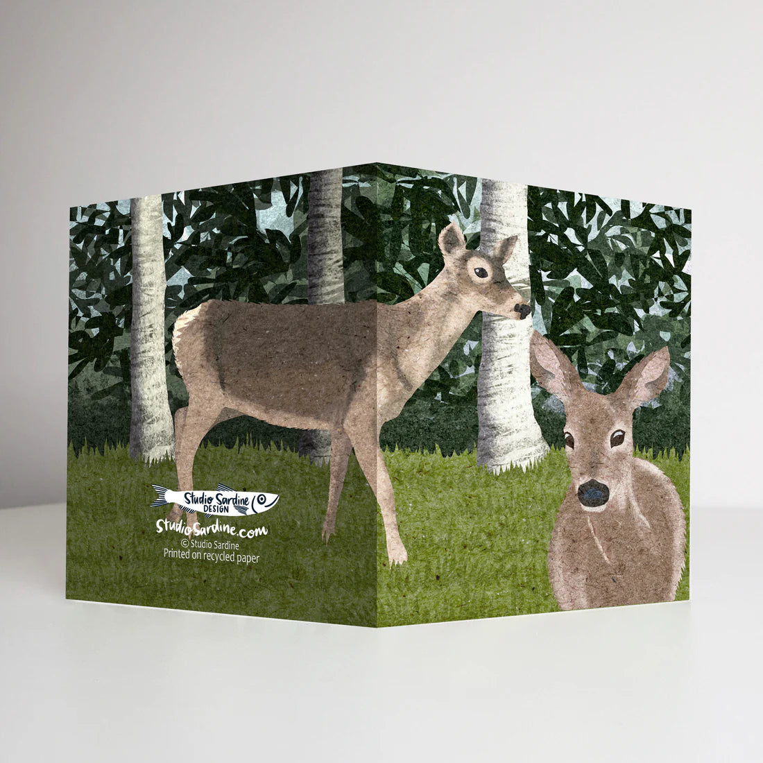 Mule Deer Blank Greeting Cards