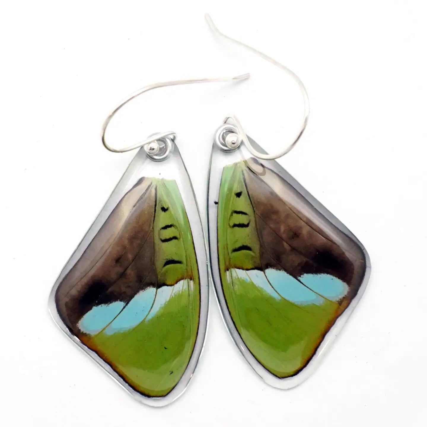 Howitson's Olivewing Top Butterfly Wings Earrings