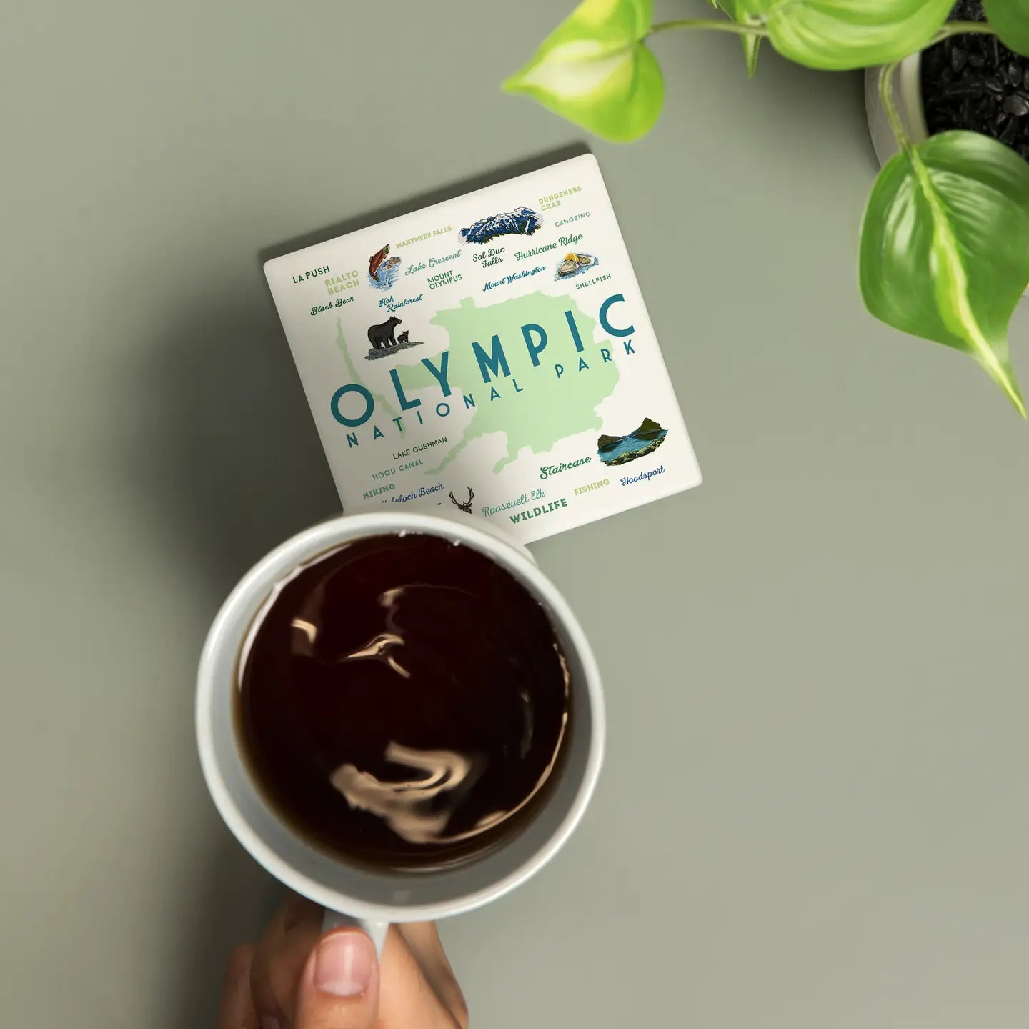Olympic National Park Ceramic Coasters