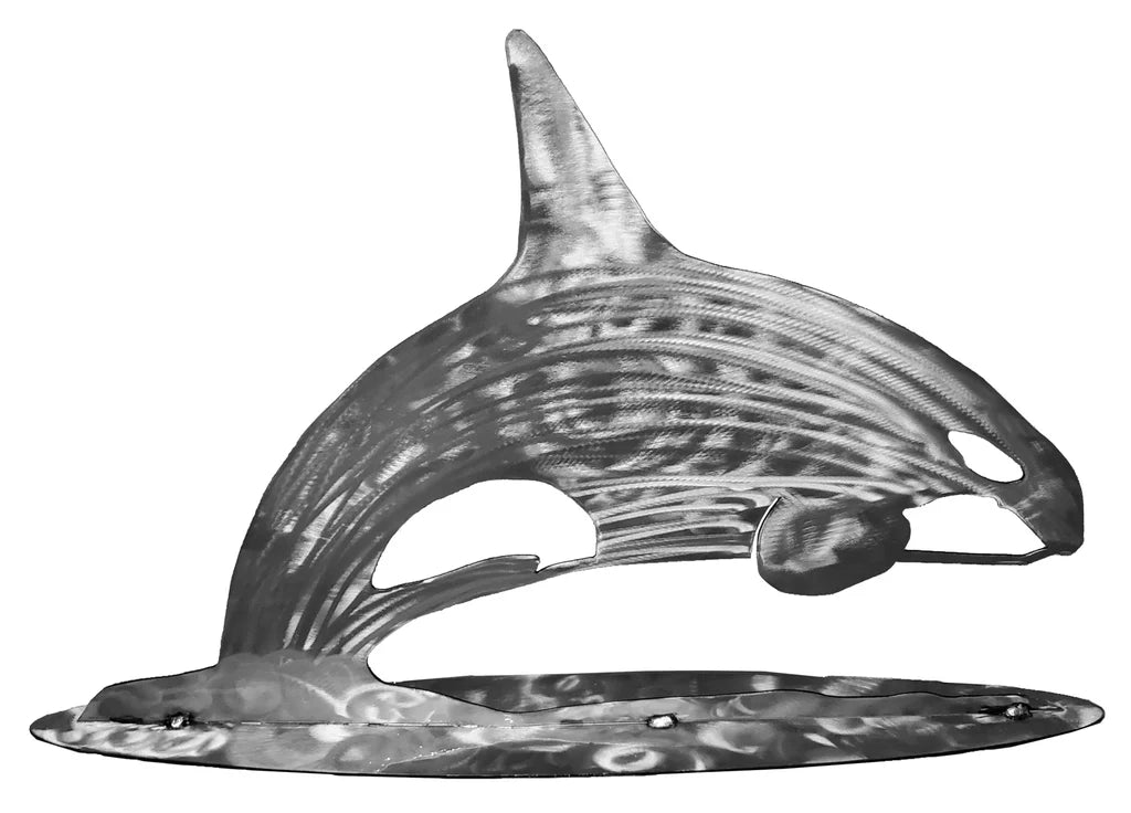 Stainless Steel Stand Up Display Orca