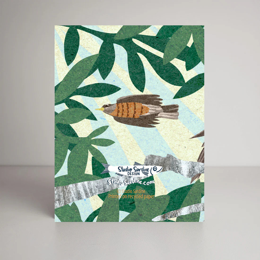 American Robin Card | Studio Sardine