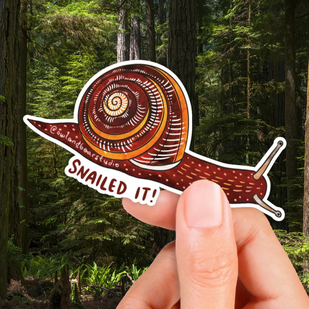"Snailed It!" Pacific Sideband Snail Sticker