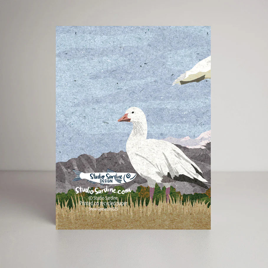 Snow Geese Card | Studio Sardine