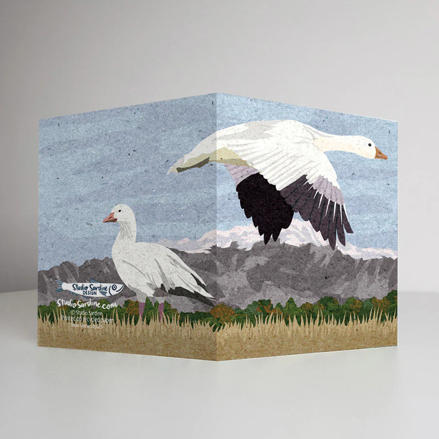 Snow Geese Card | Studio Sardine