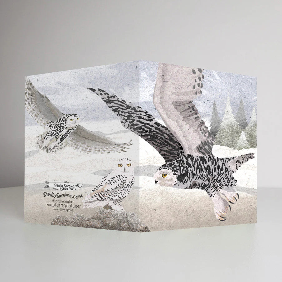 Snowy Owls Card | Studio Sardine