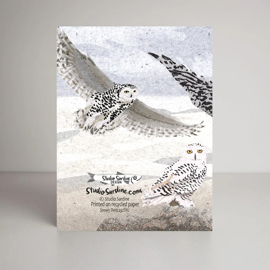 Snowy Owls Card | Studio Sardine