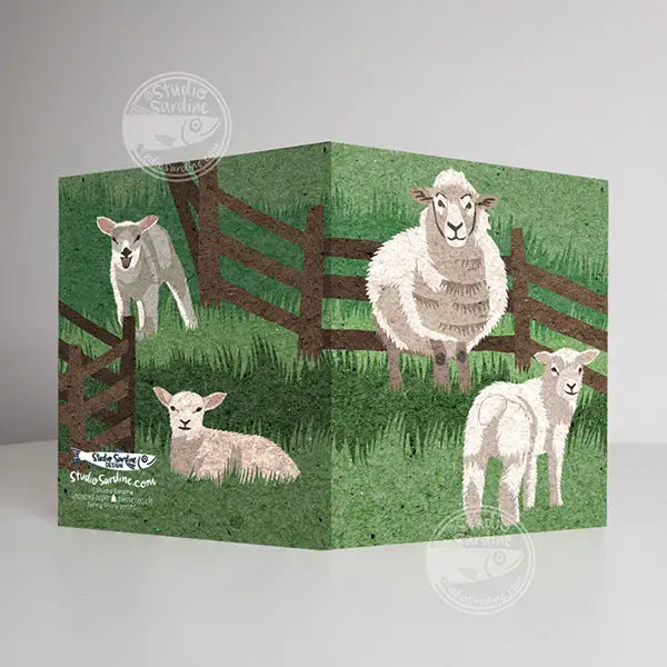 Spring Sheep Notecards, Blank Greeting Cards