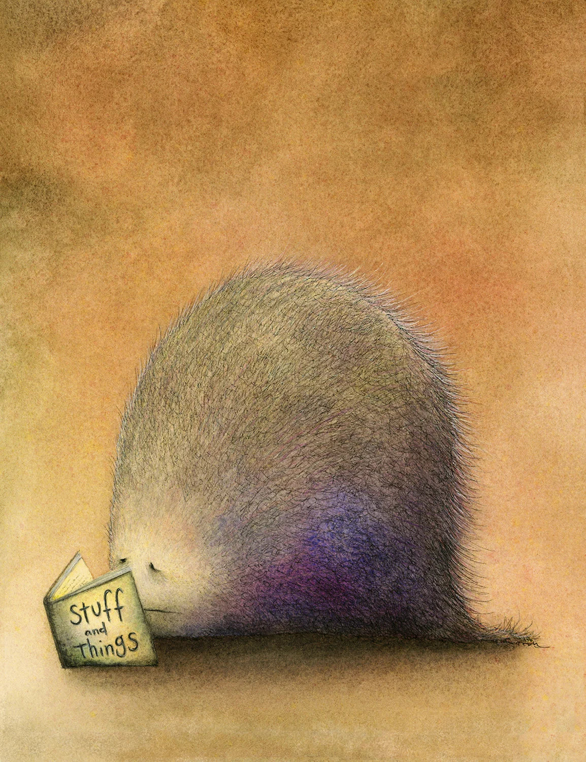 Stuff and Things Art Print